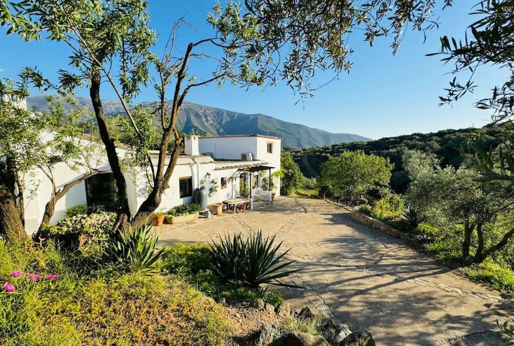 Vila Almond Hill House Orgiva Exteriér fotografie